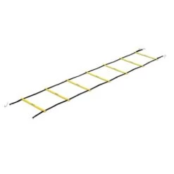Sklz Quick Ladder Pro