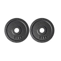 Everlast 2 X 2.5 Kg Weight Plate