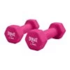 Everlast Vinyl Dumbbell 2 X 1.5kg Set 1 Everlast Vinyl Dumbbell 2 X 1.5kg Set -Sports Equipment Store EV552511035 1