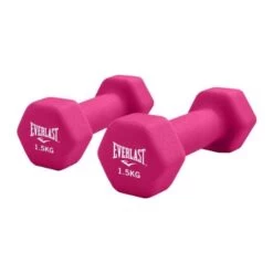 Everlast Vinyl Dumbbell 2 X 1.5kg Set