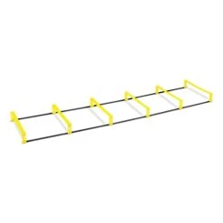 Sklz Elevation Ladder